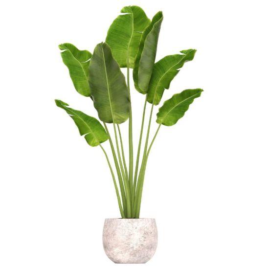 3 Boyutlu Duvar Sticker