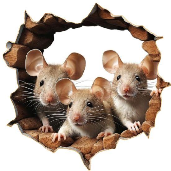 3 Boyutlu Duvar Sticker