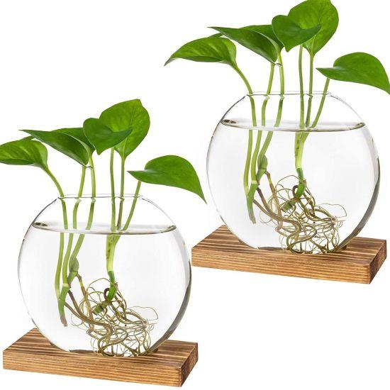 Bambu Vazosu