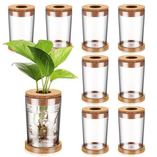 Bambu Vazosu