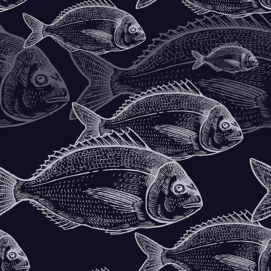 Denizci Duvar Kağıdı