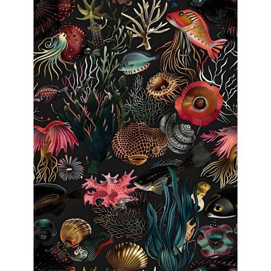 Denizci Duvar Kağıdı