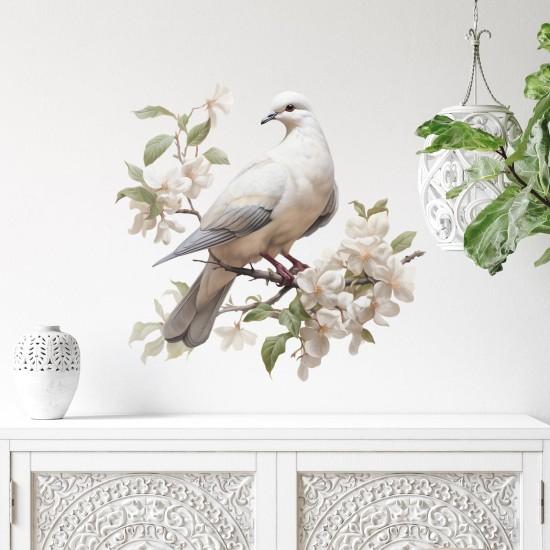 Güvercin Duvar Kağıdı