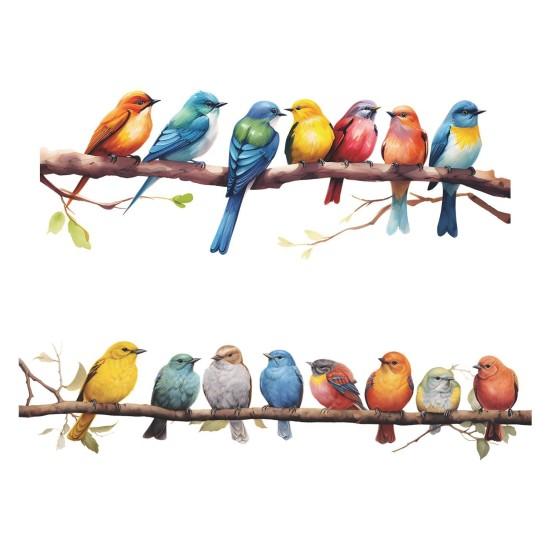 Güvercin Duvar Kağıdı