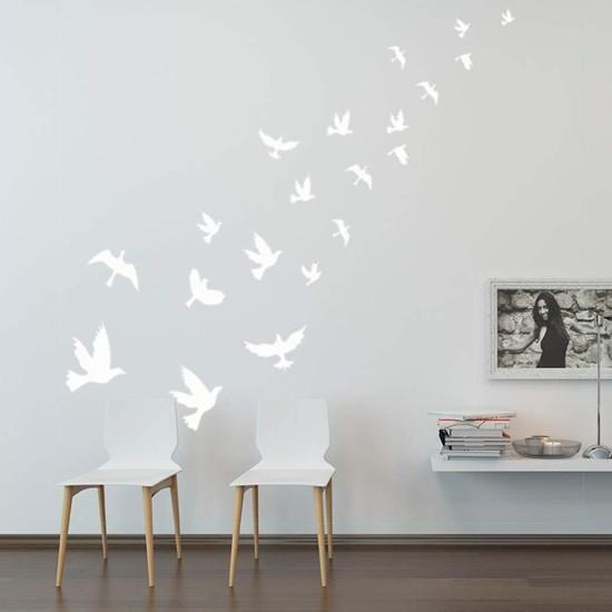 Güvercin Duvar Kağıdı