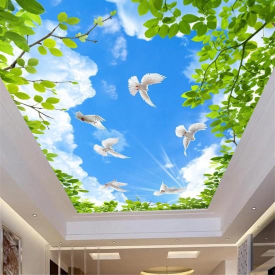 Güvercin Duvar Kağıdı