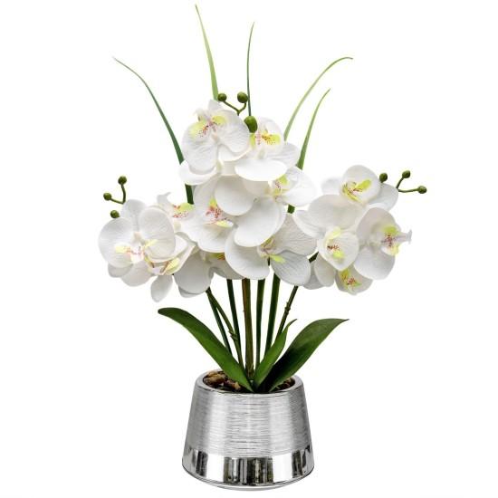 Orkide Aranjmanı