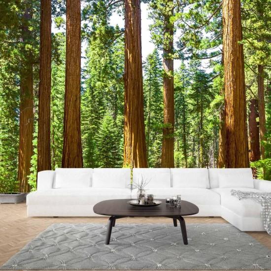 Orman Manzaralı Duvar Kağıtları