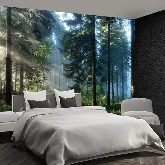 Orman Manzaralı Duvar Kağıtları