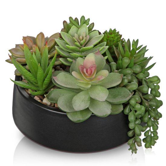 Yapay Sukulent Aranjman