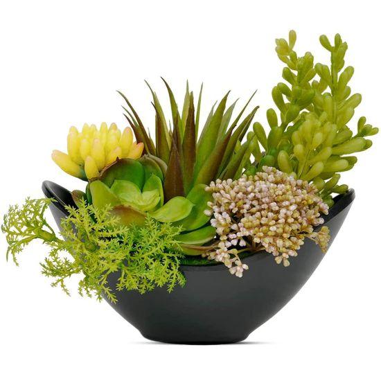 Yapay Sukulent Aranjman