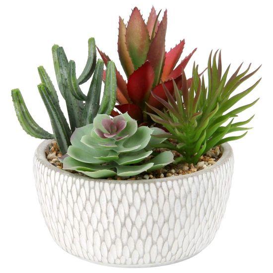 Yapay Sukulent Aranjman