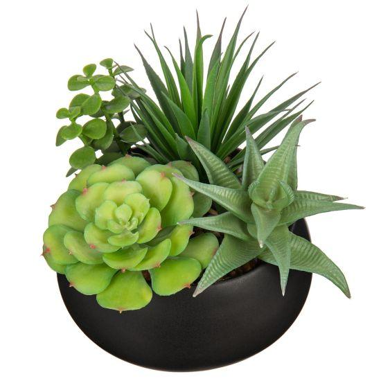 Yapay Sukulent Aranjman