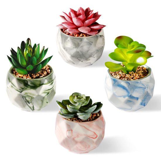 Yapay Sukulent Aranjman