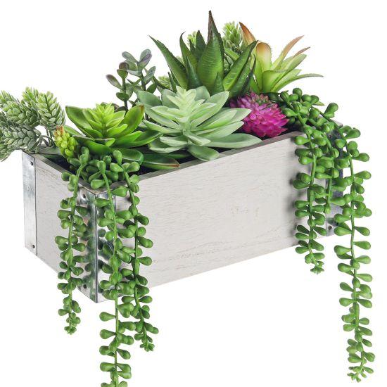 Yapay Sukulent Aranjman