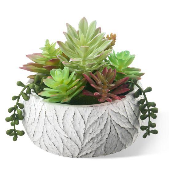 Yapay Sukulent Aranjman