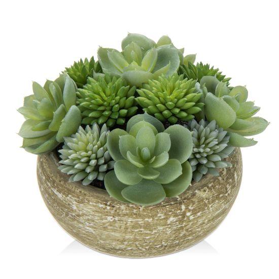 Yapay Sukulent Aranjman