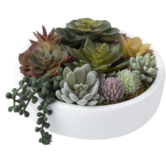 Yapay Sukulent Aranjman