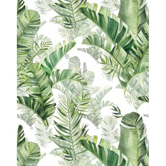 Yeşil Yaprak Duvar Kağıdı