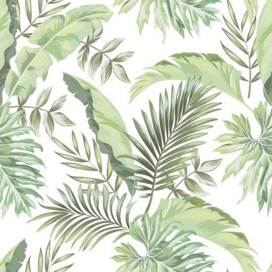 Yeşil Yaprak Duvar Kağıdı