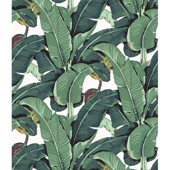 Yeşil Yaprak Duvar Kağıdı