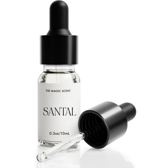 Aromatik Kokular