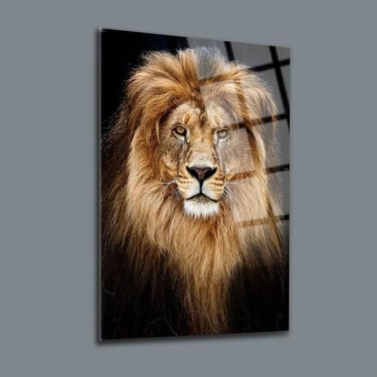 Aslan Cam Tablo