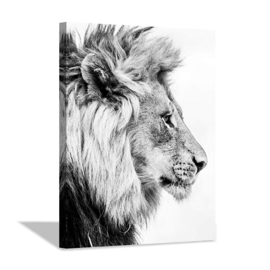 Aslan Portresi