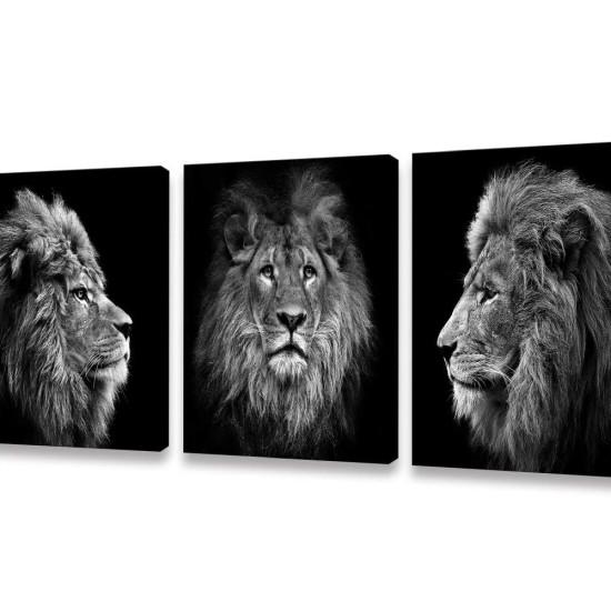 Aslan Portresi
