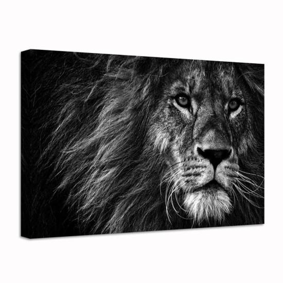 Aslan Tablo