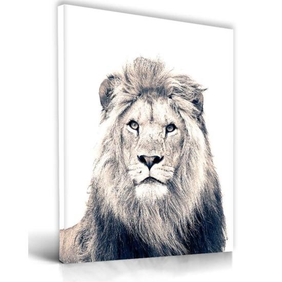 Aslan Tablo