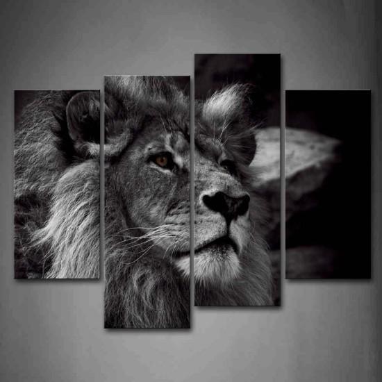 Aslan Tablo