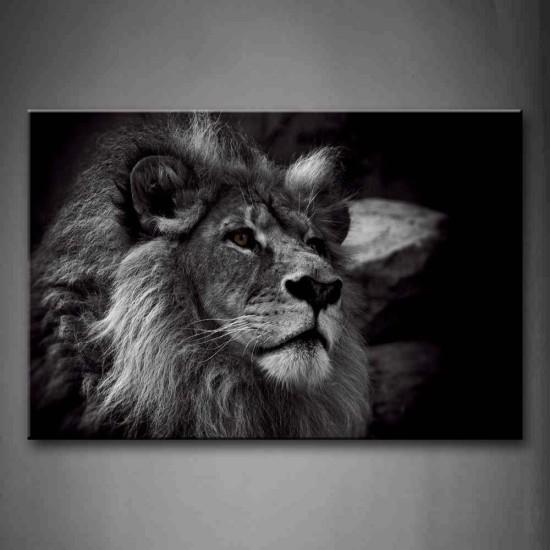 Aslan Tablo