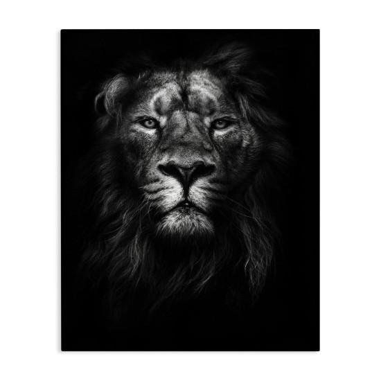 Aslan Tablo