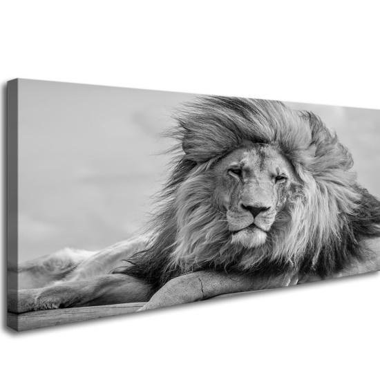 Aslan Tablo