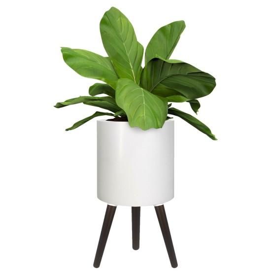 Ayaklı Saksı Modelleri