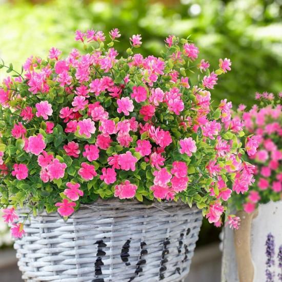 Bahar Yıldızı Çiçek