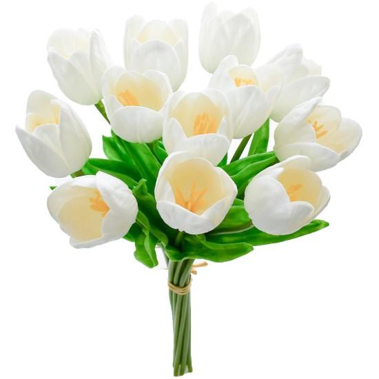 Bahar Yıldızı Çiçek