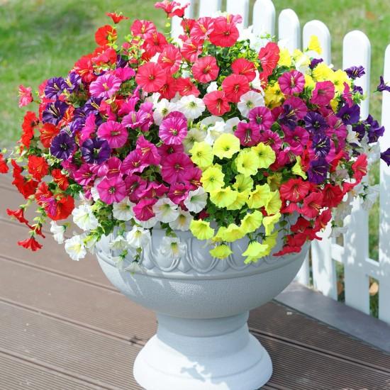 Balkon Saksı Çiçekleri