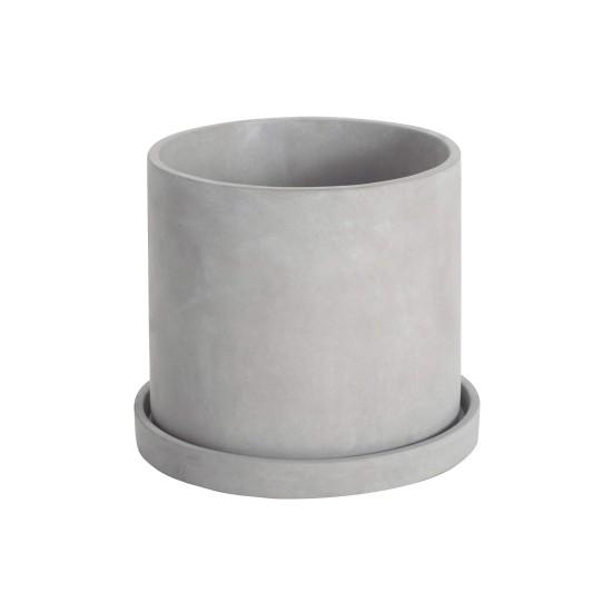 Beton Saksıda Çiçek