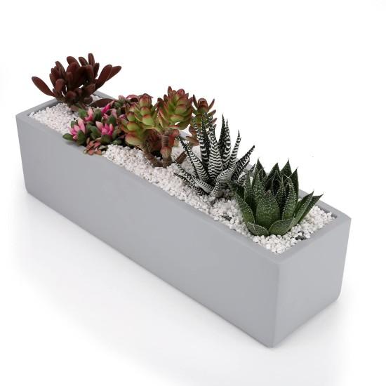 Beton Saksıda Çiçek