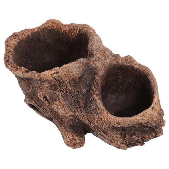 Beton Saksıda Çiçek