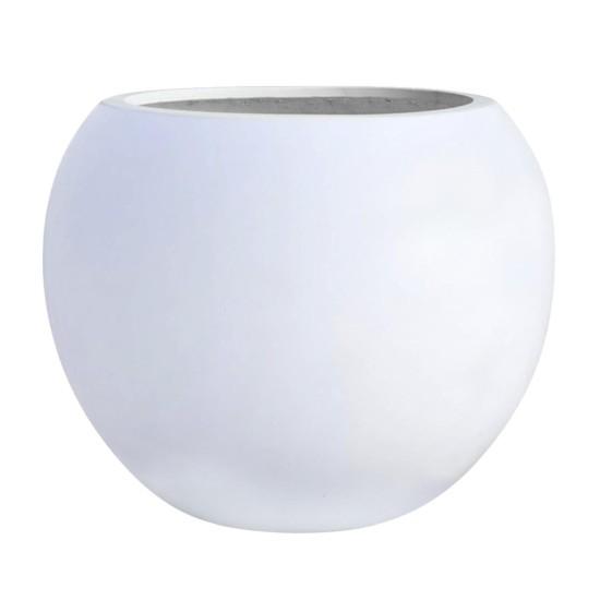 Beton Saksıda Çiçek