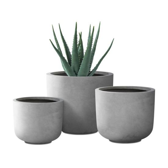 Beton Saksıda Çiçek