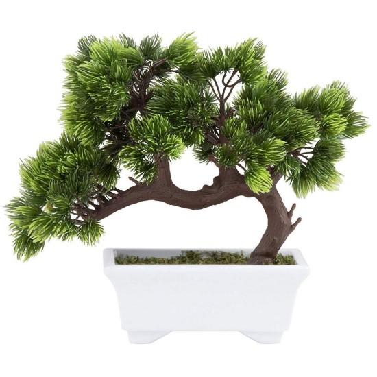 Bonsai Zeytin Ağacı