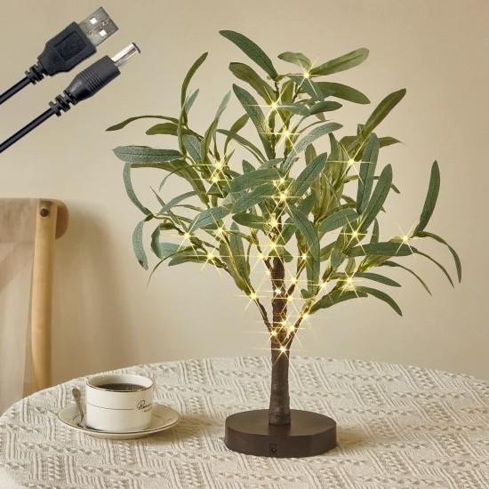 Bonsai Zeytin Ağacı