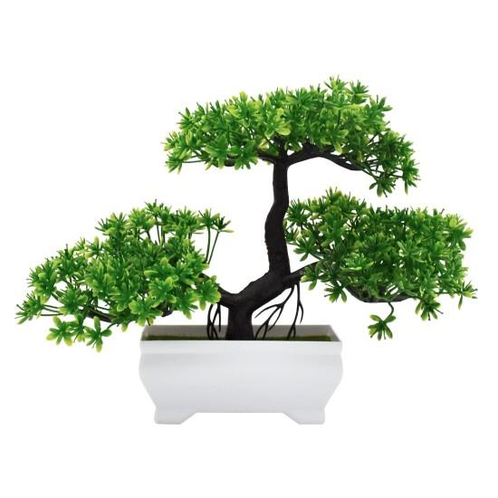 Bonsai Zeytin Ağacı