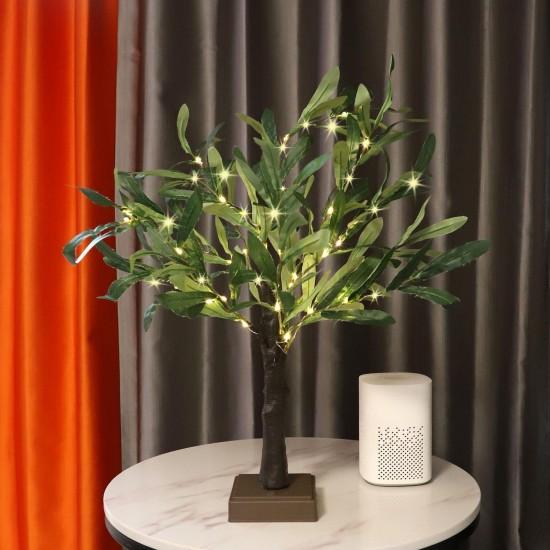 Bonsai Zeytin Ağacı