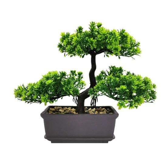 Bonsai Zeytin Ağacı