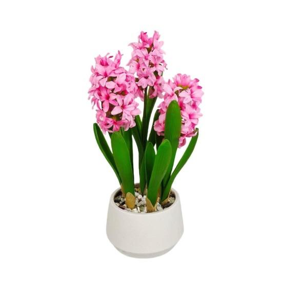 Büyük Saksılı Çiçek